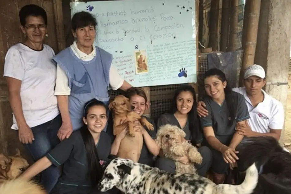 Un grupo de voluntarios con unos perritos