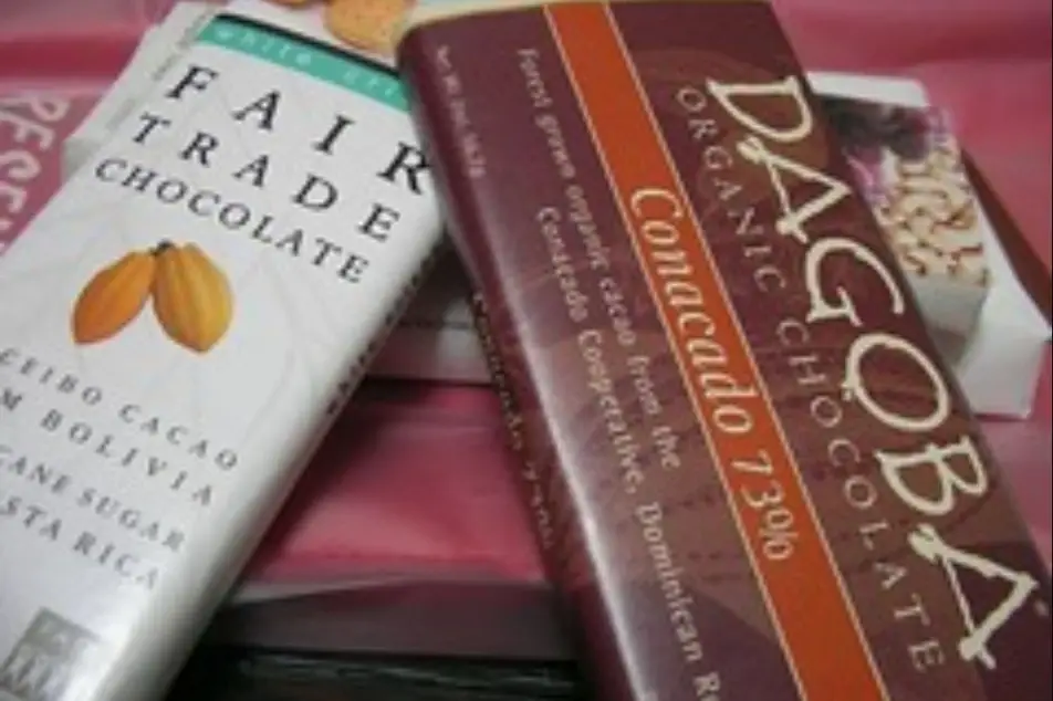 Dos barras de chocolate orgánico