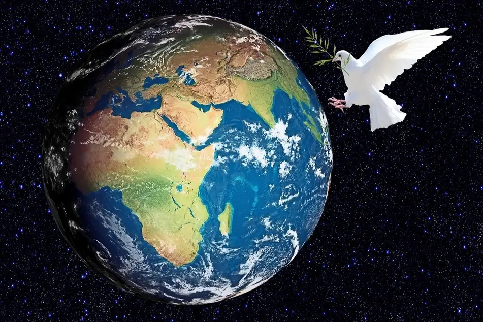 paloma sobre mundo
