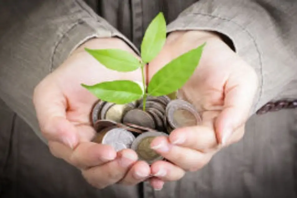 Hands cup a small pile of coins with a sprig of leaves growing from it.
