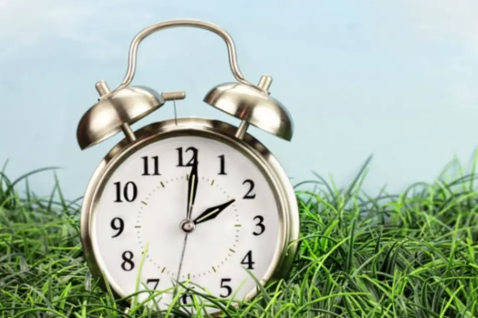 Un reloj en medio del pasto