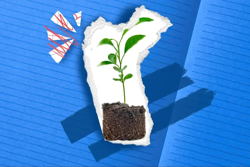 An Illustration of a plant.
