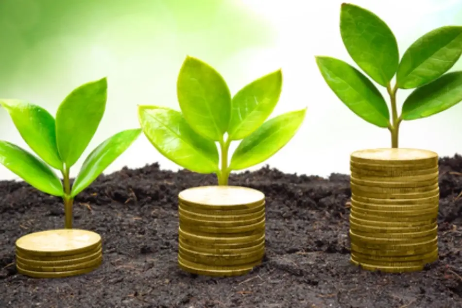 Tres pilas de monedas de las que crecen plantas