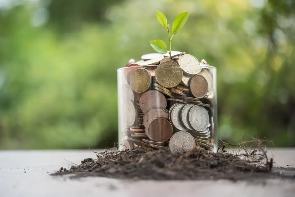Una planta florece de un contenedor con monedas.