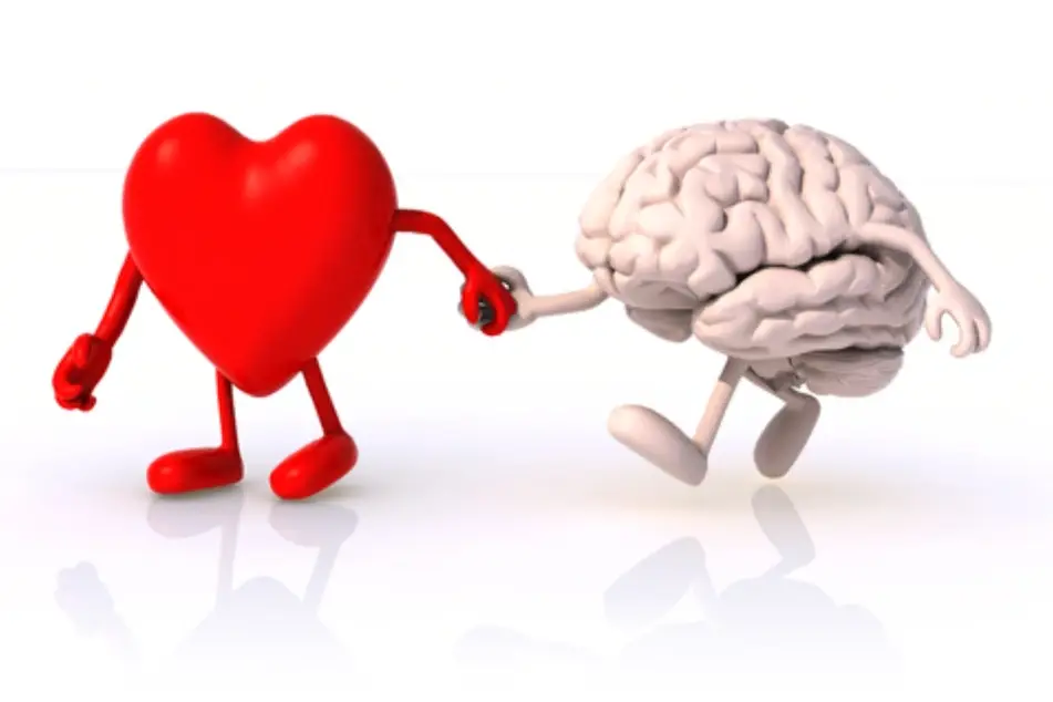 Un corazón y un cerebro dándose la mano