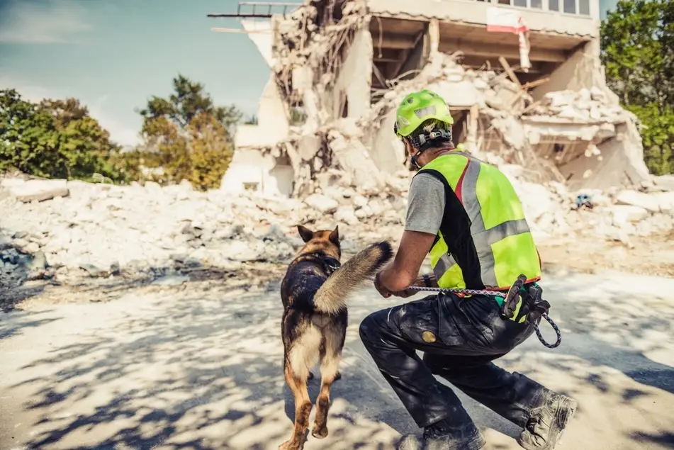 man in high-vis safety gear with dog at disaster site