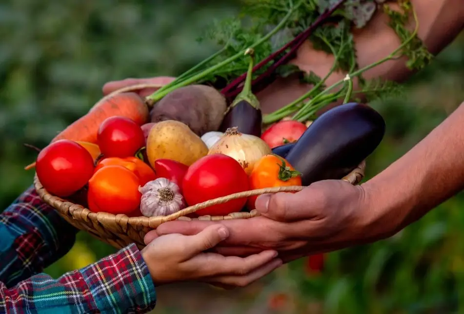 Un par de juegos de manos sostienen una canasta con alimentos.