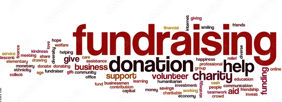 Board Member (Fundraising/Finance/Accountant Officer)