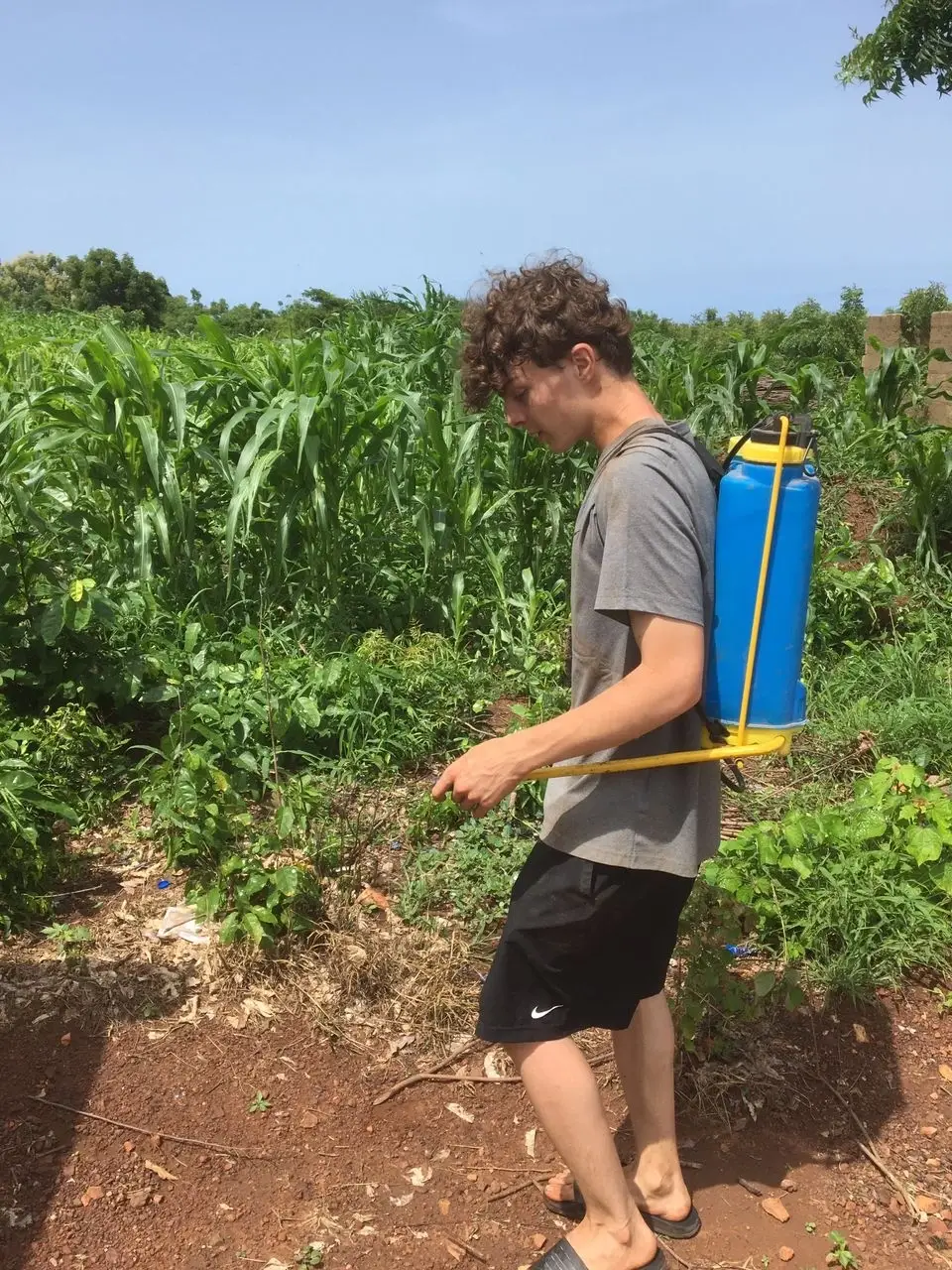 Farming/Agriculture Volunteer Program