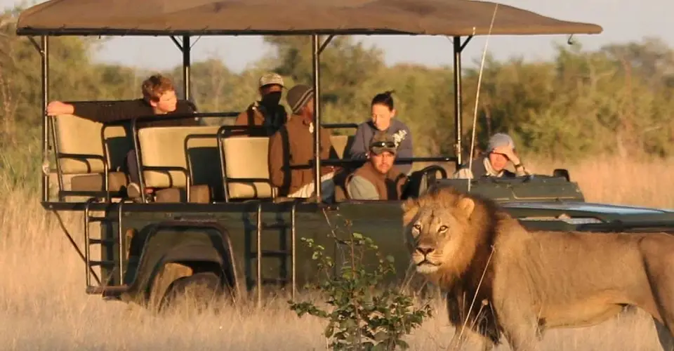 VOLUNTEER IN ZIMBABWE