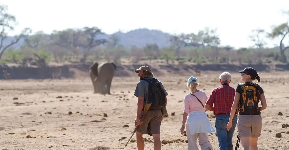 Opportunity to Offer Your Expertise While Traveling Abroad (Pro Bono Consulting Projects Available for High-Skilled Volunteers to Support Vetted and Verified NGOs)--3 Host Organizations in Botswana