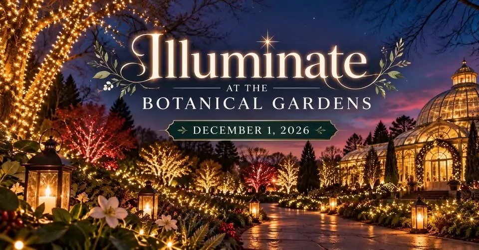 Illuminate San Antonio