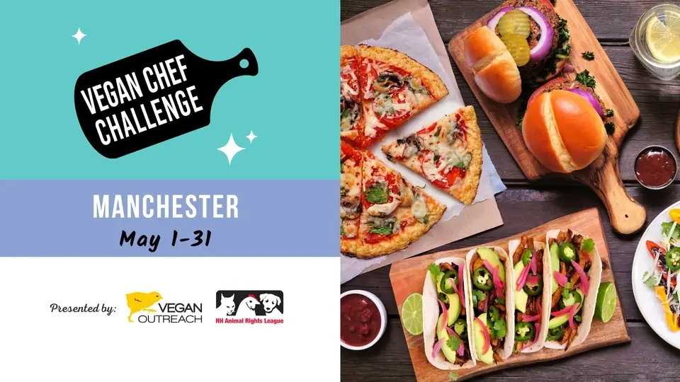 Volunteer for the Manchester Vegan Chef Challenge!