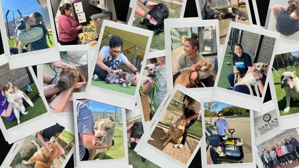 We’re Recruiting Event Coordinators!