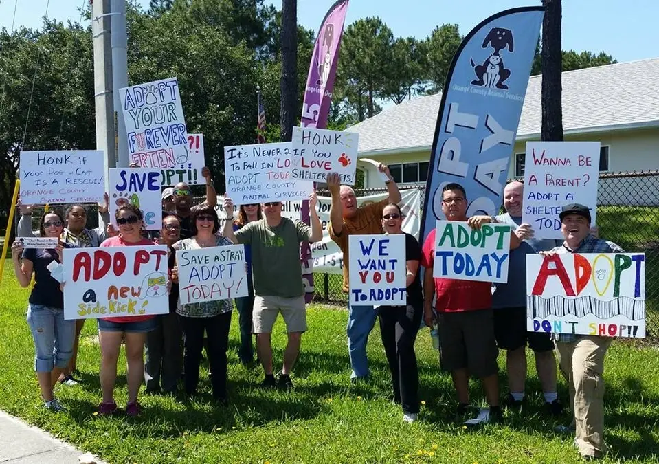 Pet Adoption Awareness  Quick Volunteer Hours