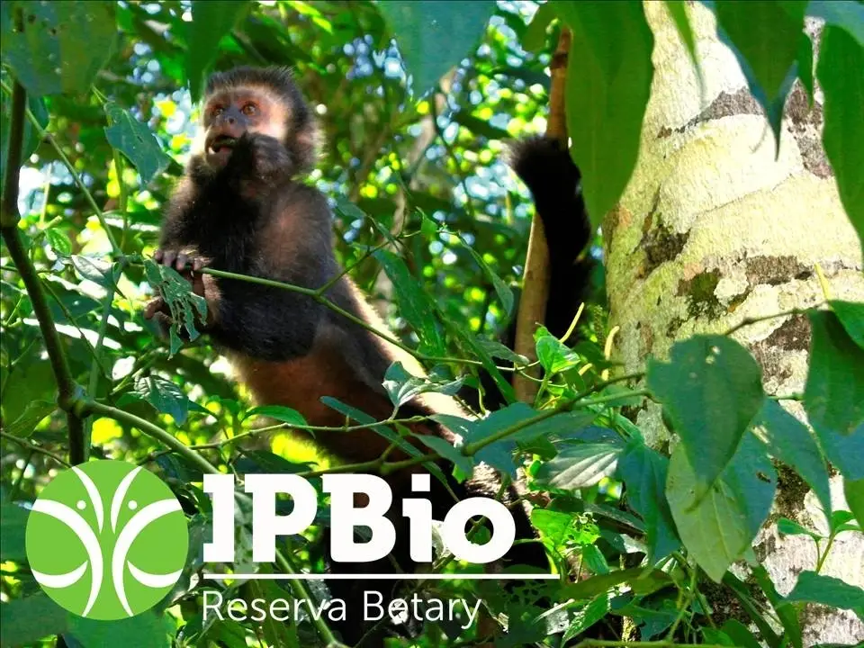 Mammal Inventory (Eco-Volunteer)