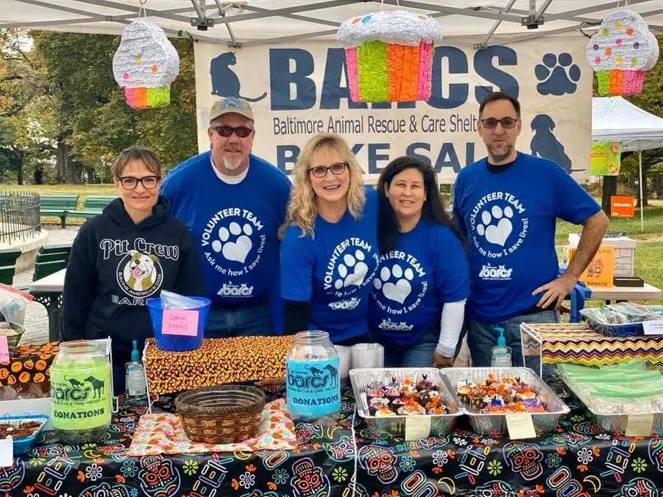 Love fun events? Event volunteers needed to support homeless animals!