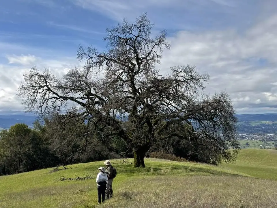 We are open for new members of our Board of Directors