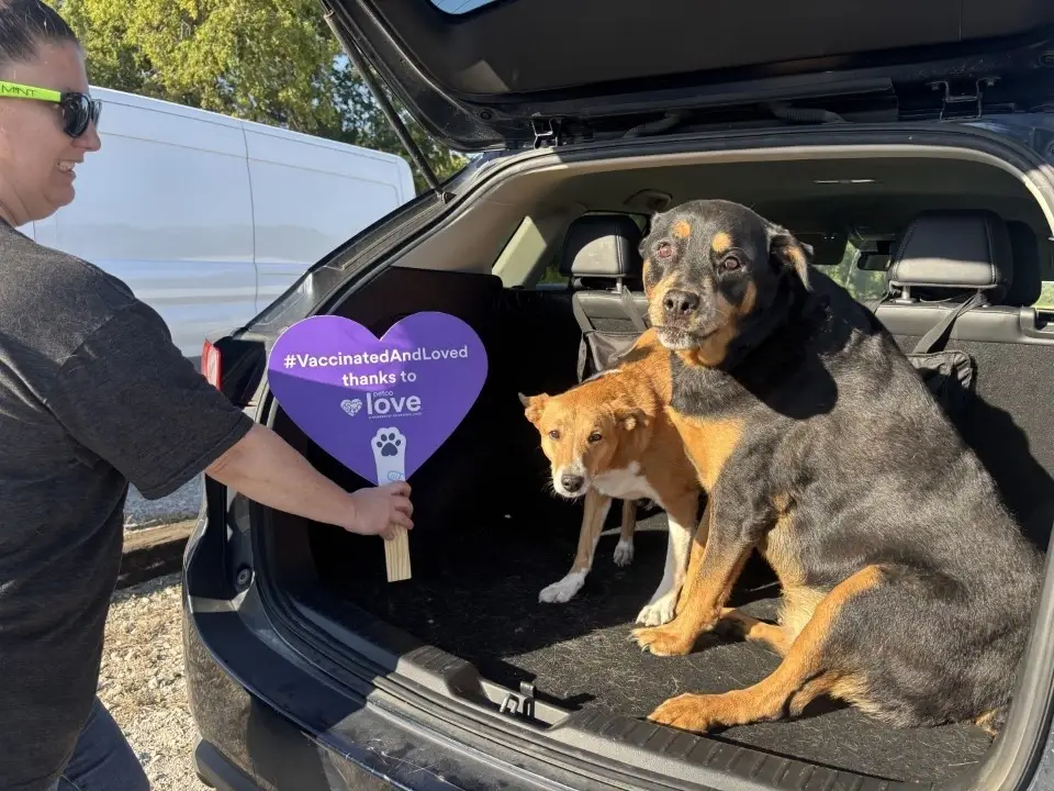 DFW Pets are Family - Volunteer March 14, 2026, 8:00 AM - 12:00 PM