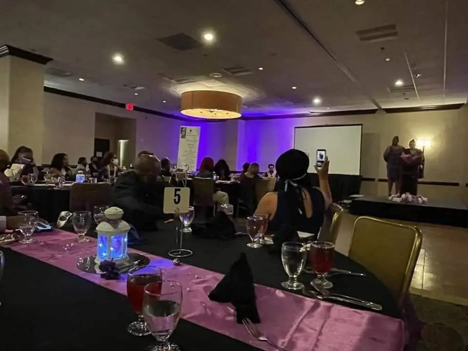 Gala Volunteer Coordinator- National Domestic Violence Rally