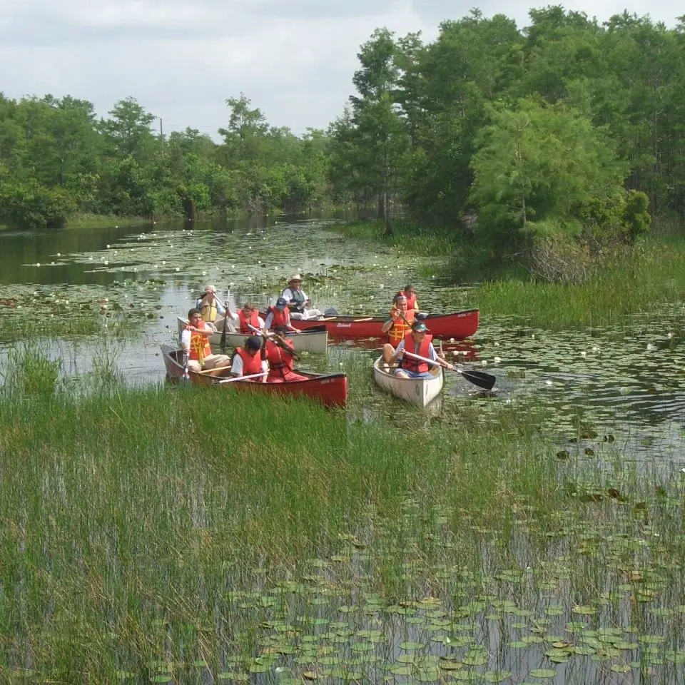 Canoe/Kayak Volunteer in Wetlands