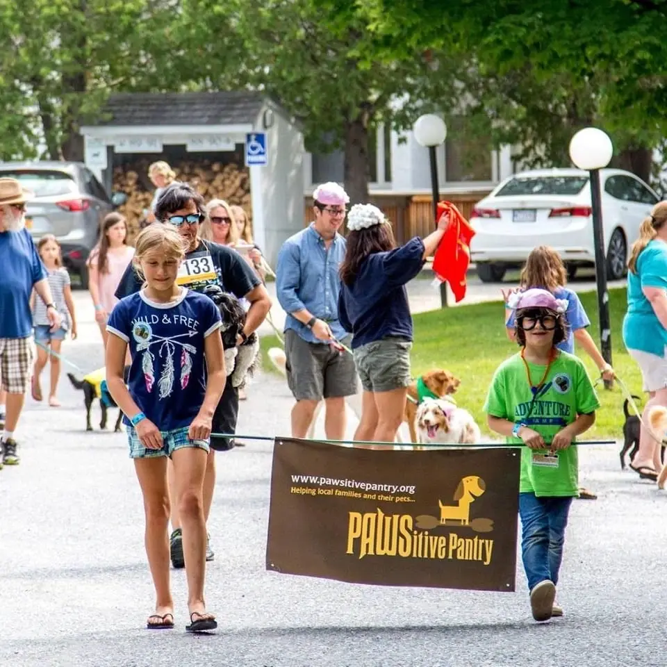 Events Volunteer in Metro West / Greater Worcester Area:  Help Keep People and Pets Together