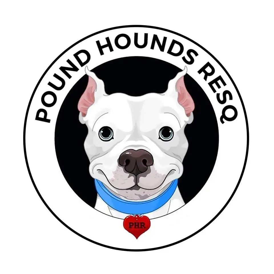 Experienced Grant Writer needed for NYC based Animal Rescue Group.