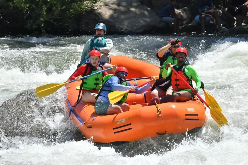 Board Member (Volunteer)