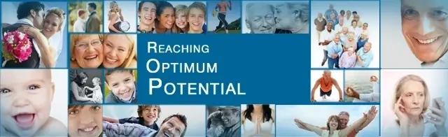 Executive Assistant - experienced