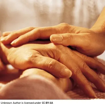 Volunteers for Companionship Beaumont Hospice-Wayne County