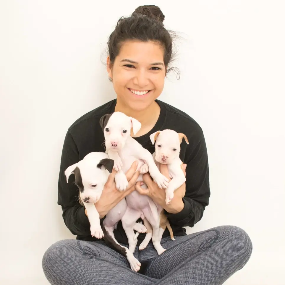 Lead Adoption Classes for New Pet Parents at BARCS!