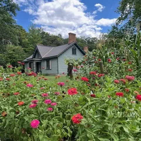 Gardening Opportunities!
