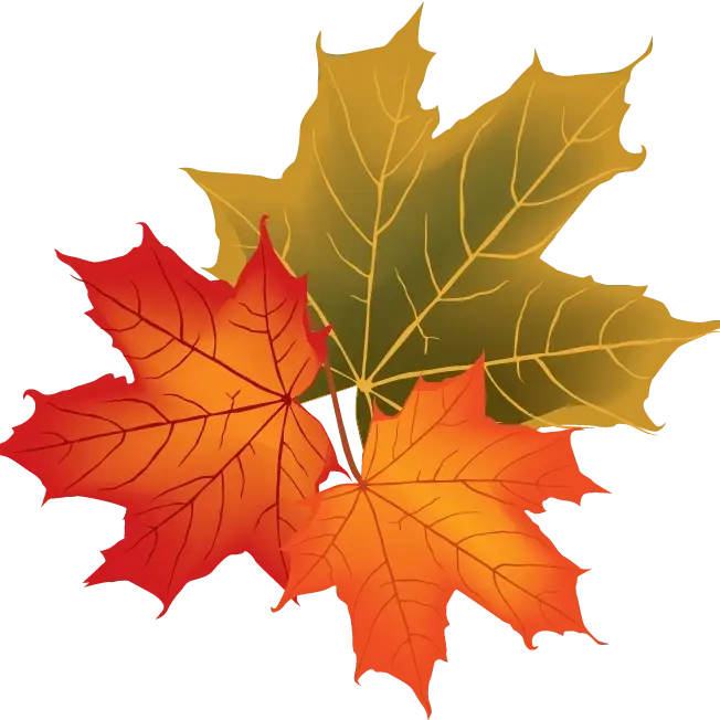 Fall Festivities at Arc's Value Village New Hope!