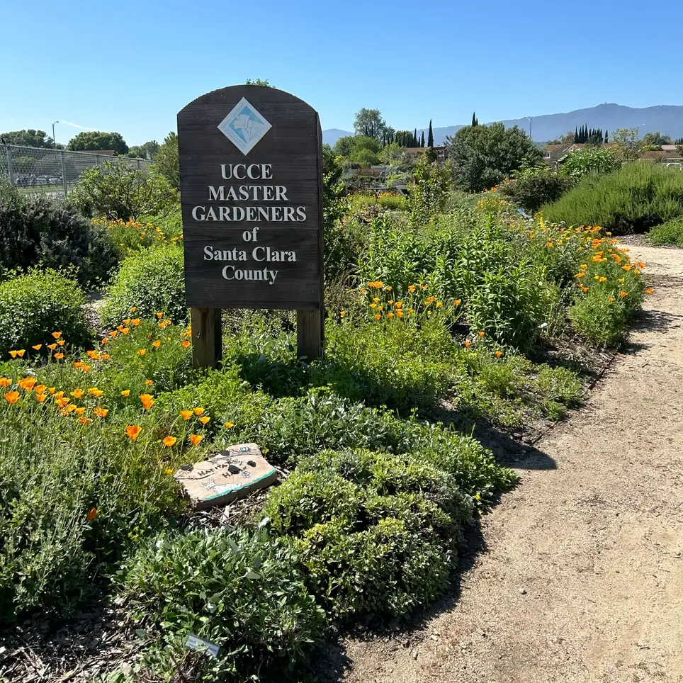 2025 Fall Garden Fair