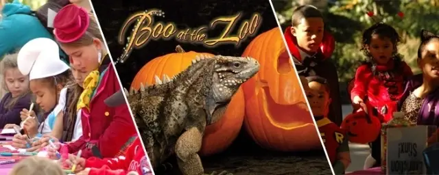 Boo at the Zoo 2025