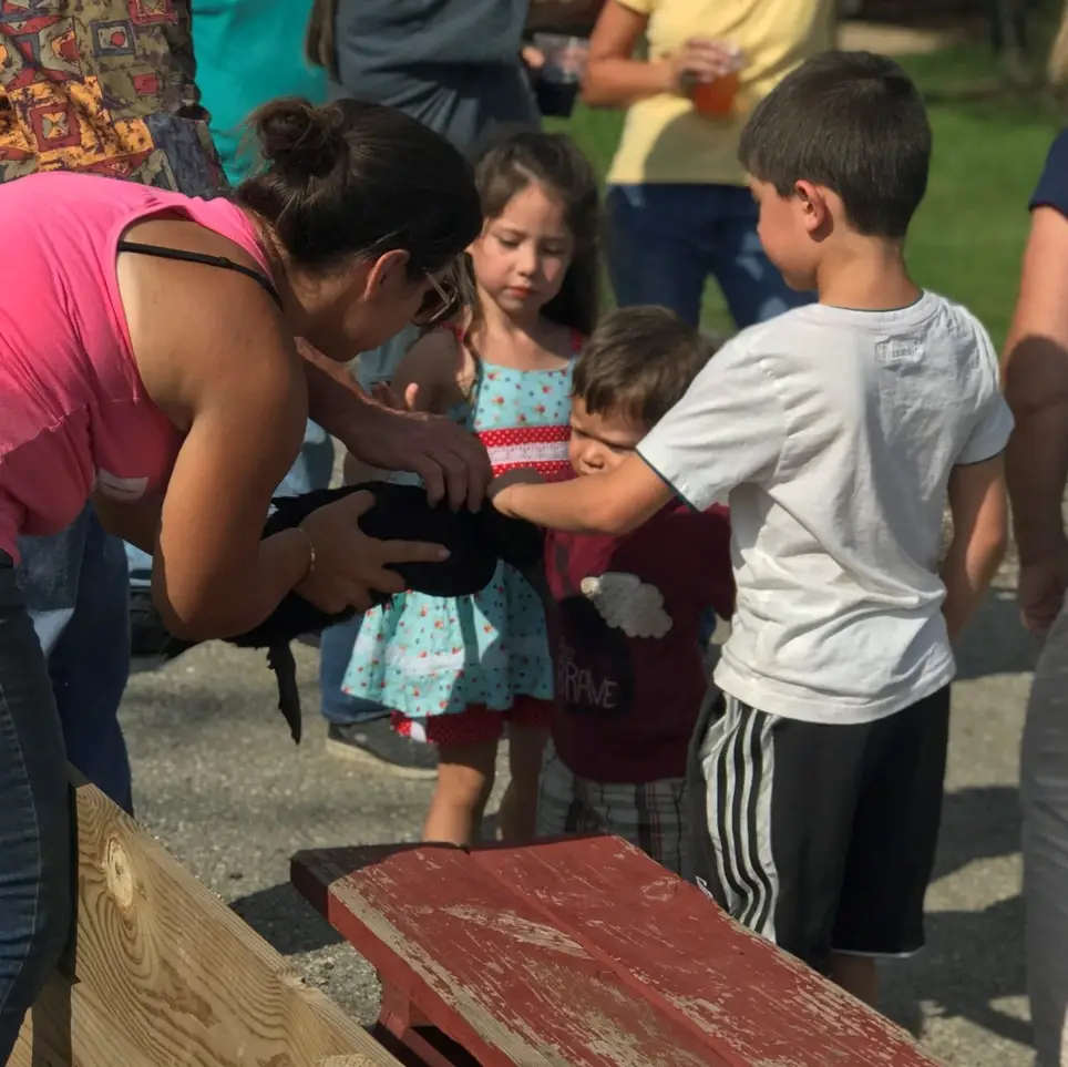 Pumpkin Days Farm Volunteer