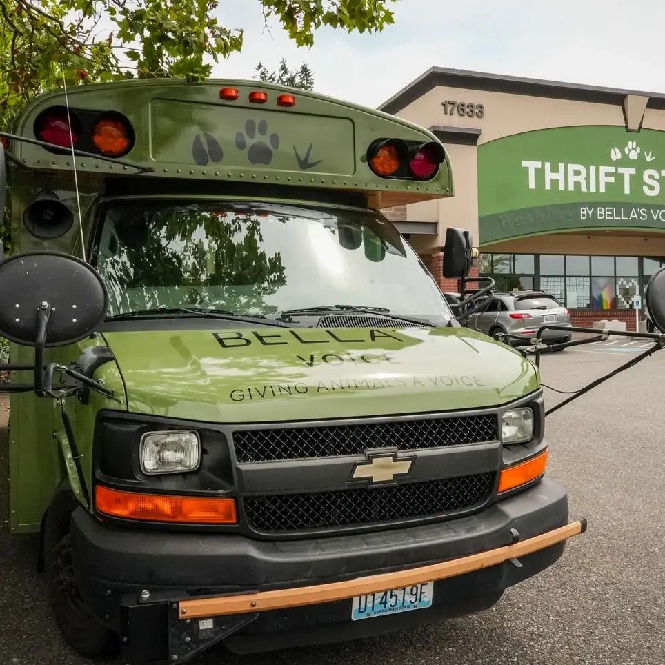 Volunteer Delivery Driver Needed- Help Pets & Families in Need!