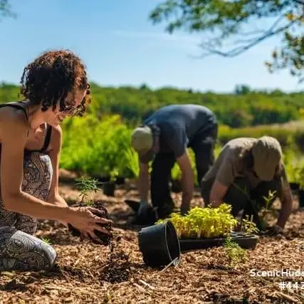 Pershing Community Farmhands: Thursday Drop-in Hours
