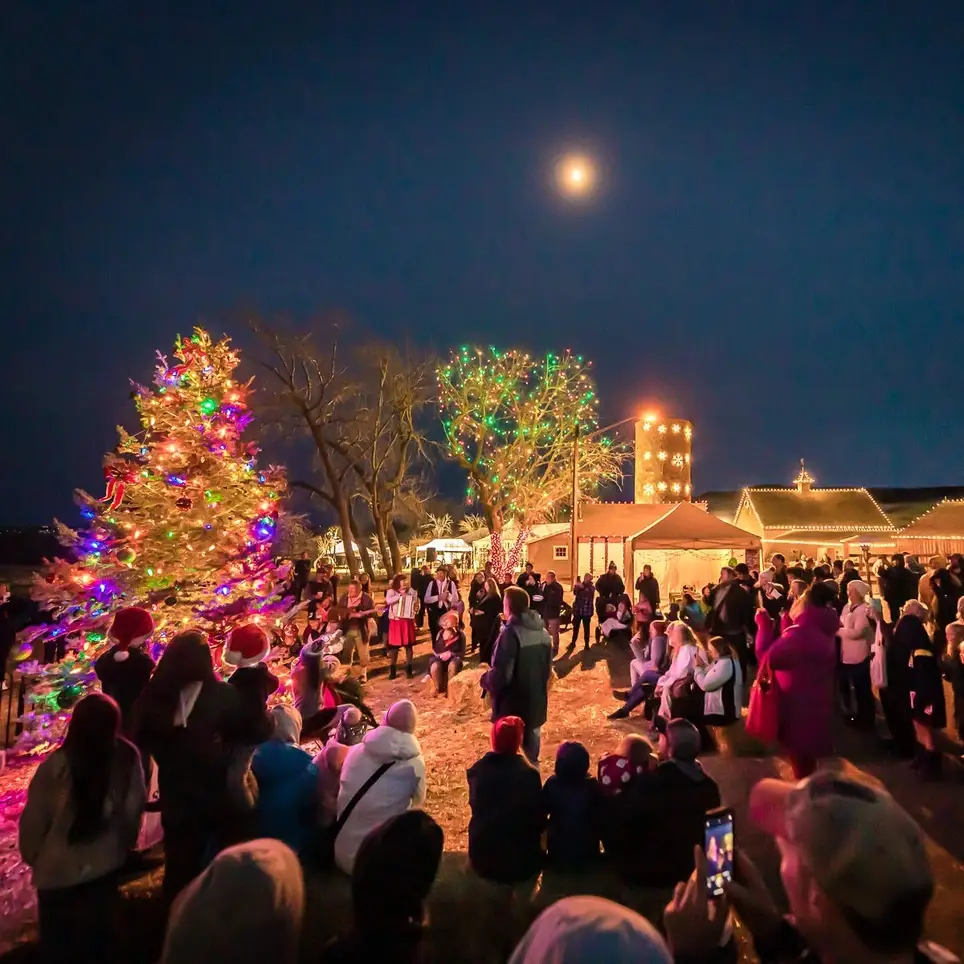 Austrian Christmas Event Volunteers