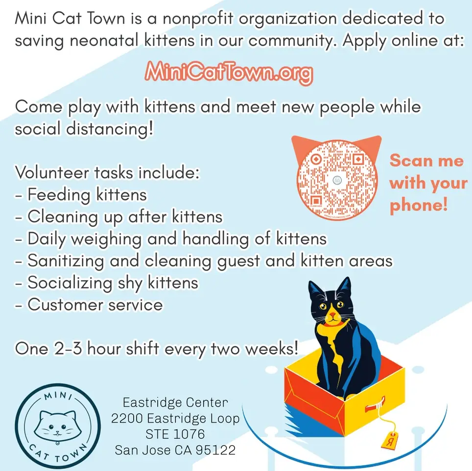 Kitten Cuddler- Palo Alto