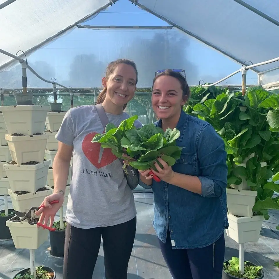 "Every Garden Grows Better with Helping Hands" - Volunteers Needed for HEPs Empowerment Garden(s)