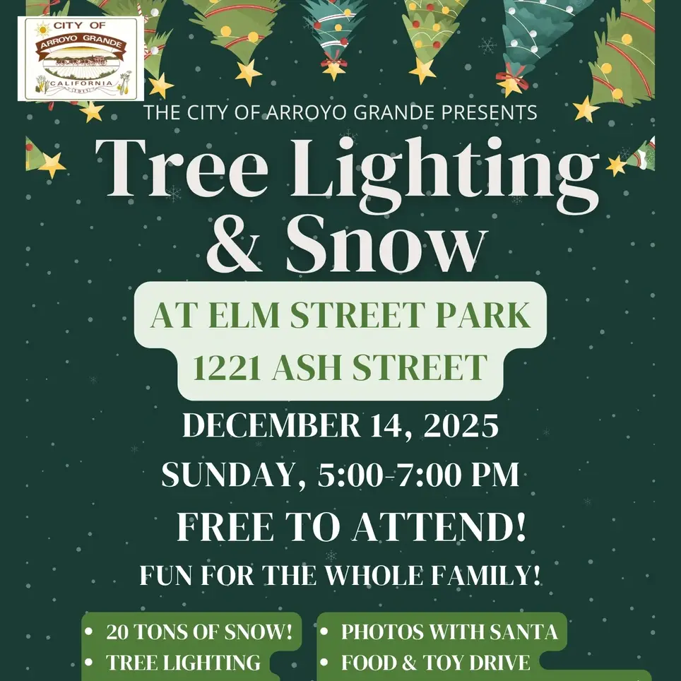 Tree Lighting  & Snow
