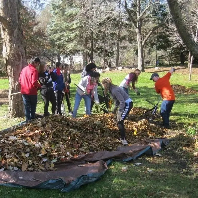 Fall Yard Clean-up Volunteer - Clean a yard for a senior!