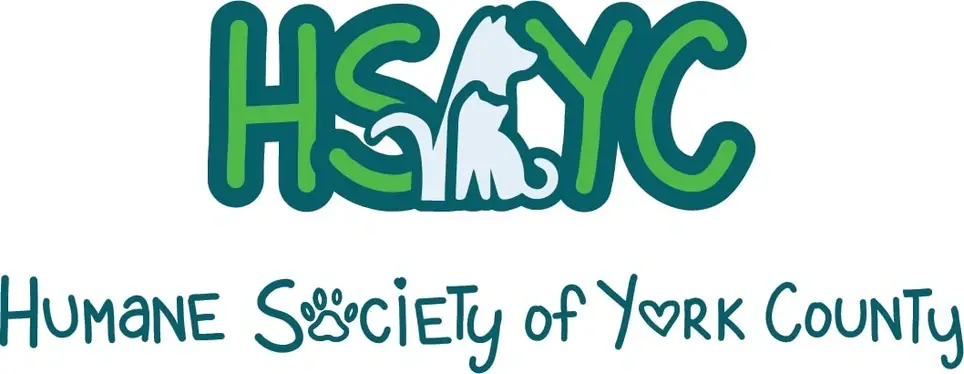 Volunteer & Save a Life! Visit the HSYC, your local NO kill Rescue today!