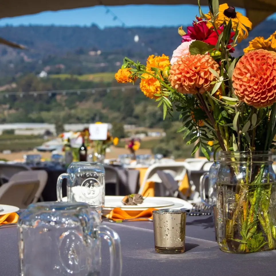 Volunteer for our THRIVE Fall Feast!
