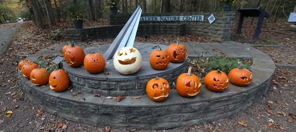 Halloween House & Trick-or-Treat Trail