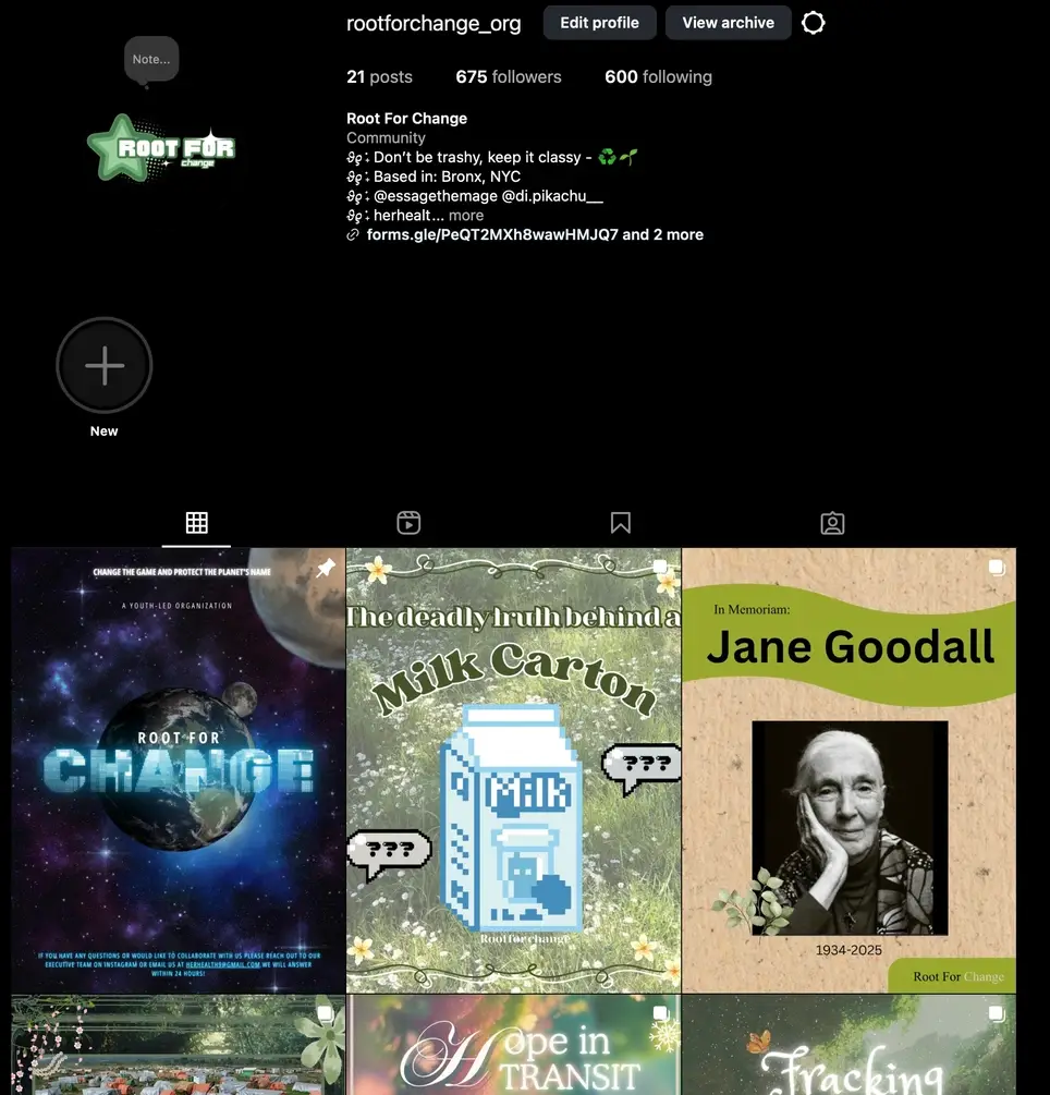 Design Director - Online Volunteer at RFC