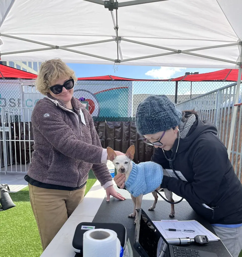 Help Homeless Pet Owners in SF! Veterinarians, Vet Techs, and Veterinary Assistants Needed
