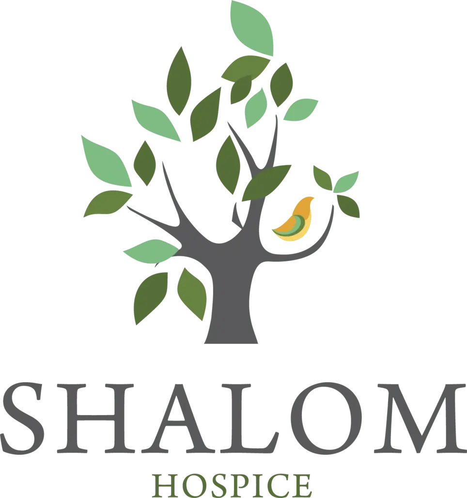 Make a Meaningful Difference: Join Us as a Compassionate Volunteer for Hospice Patients!