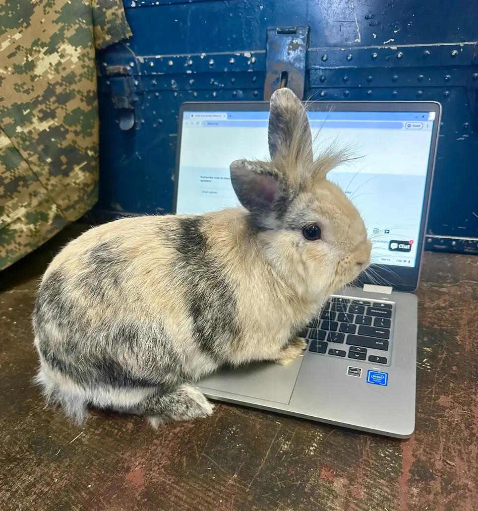 Online Store Volunteer